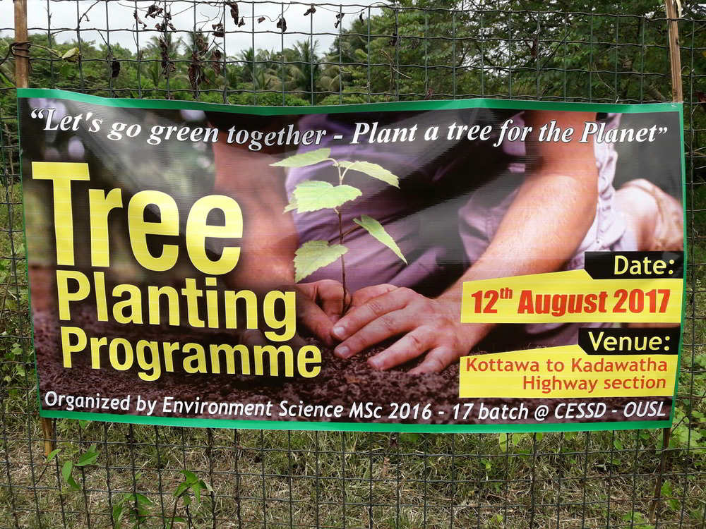 Tree Planting Programme 2017 09