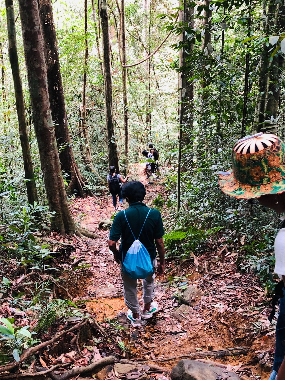 Visit to Sinharaja Rain Forest 2019
